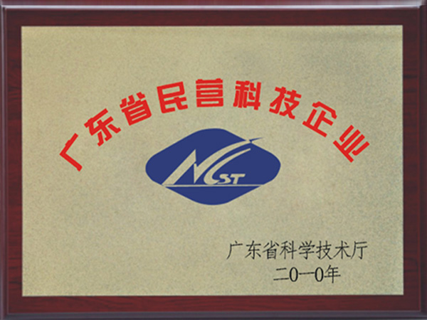 Private technology enterprises in Guangdong Province
