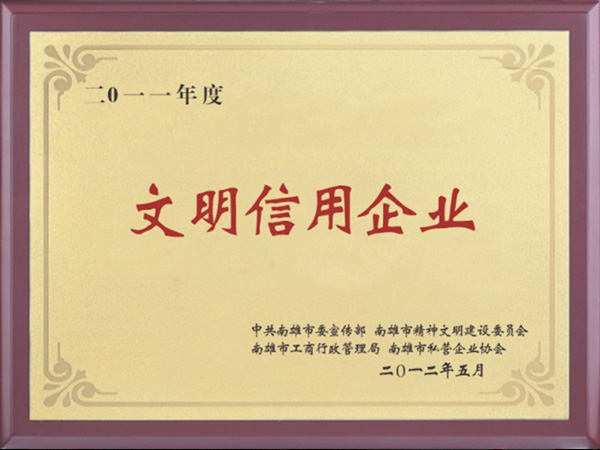 Civilized Credit Enterprise of the Year 2011